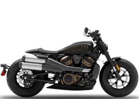Sportster S